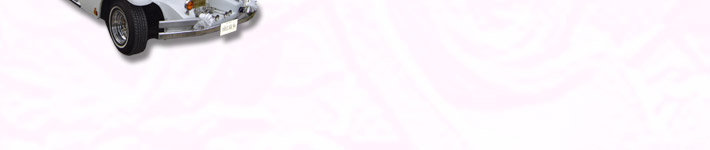 Toute l'organisation de votre mariage